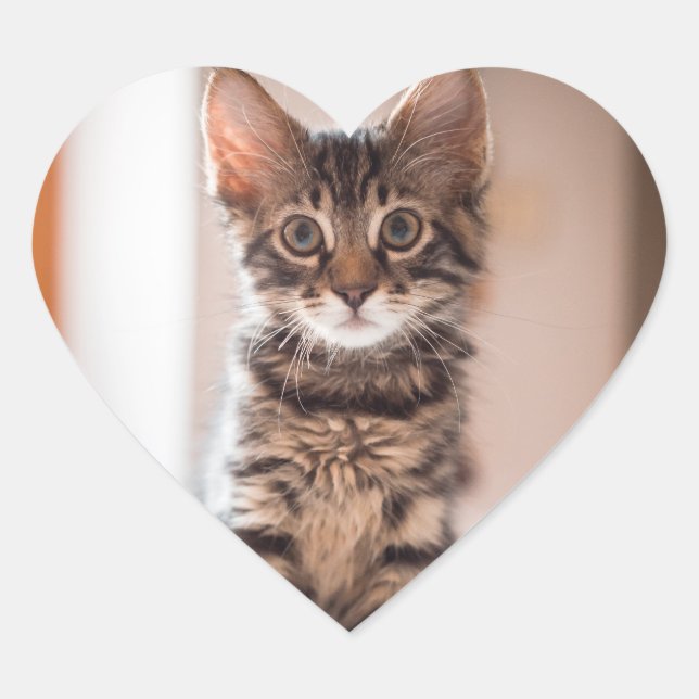 Tabby Kitten auf dem Tisch Herz-Aufkleber (Vorderseite)