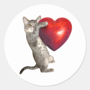Tabby Kitten avec grand autocollant de coeur rouge