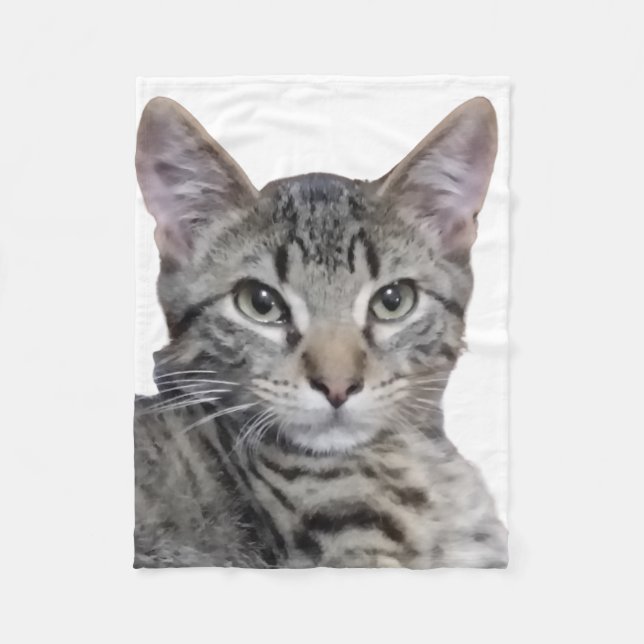 Tabby Kitten Fleecedecke (Vorderseite)