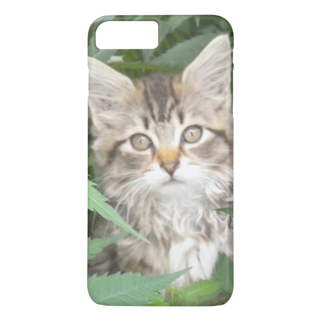 Tabby Kitten iPhone 7 plus coque (Dos)
