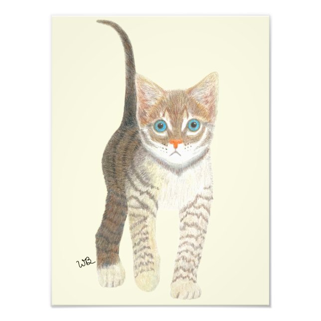 Tabby Kitten Poster (Devant)