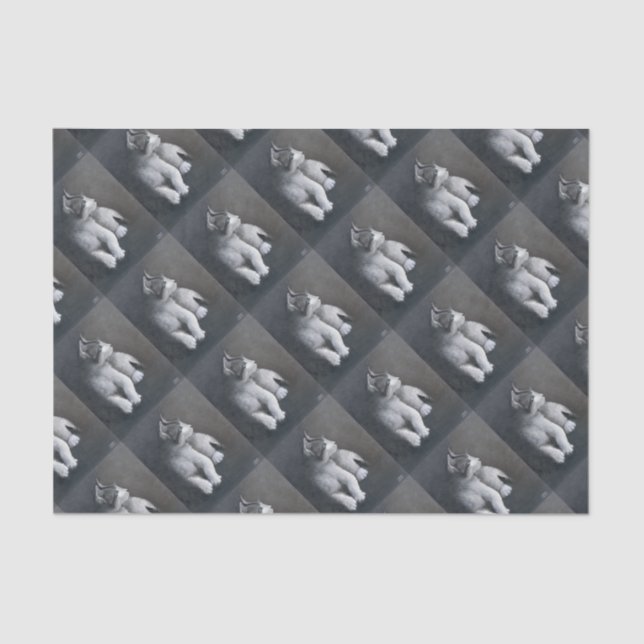 Tabby Kitten Seidenpapier (Vorderseite)