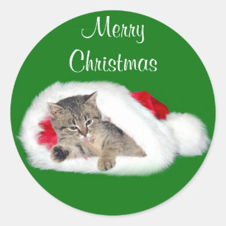 Tabby Kitten Weihnachten Runder Aufkleber