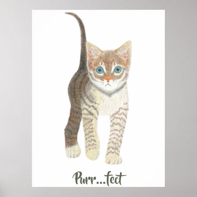 Tabby Kitten White Poster (Vorne)