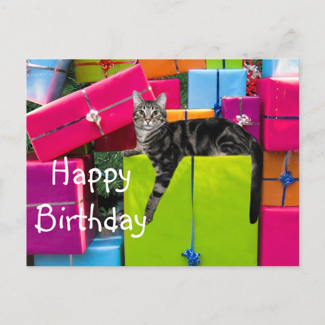 Tabby Kitty Cat Geburtstag Postkarte (Vorderseite)
