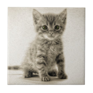 Tabby Kitty Fliese