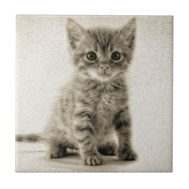 Tabby Kitty Fliese (Vorderseite)