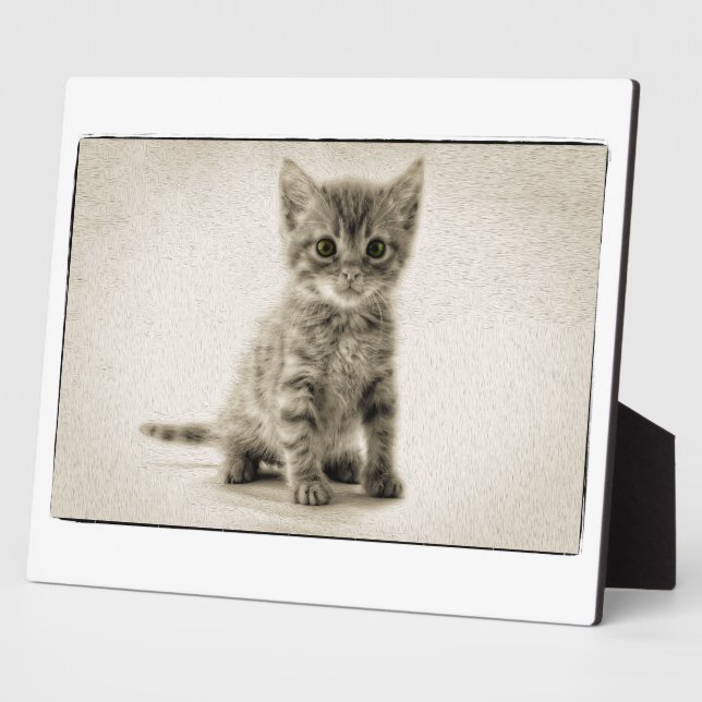 Tabby Kitty Fotoplatte (Seite)