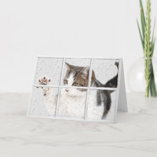tabby kitty in window birthday karte