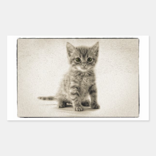 Tabby Kitty Rechteckiger Aufkleber (Vorderseite)
