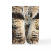 Tabby Leges Note Card - Leere Innenseite
