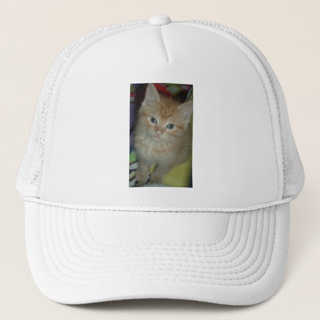 Tabby Love Truckerkappe (Vorderseite)
