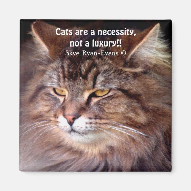 Tabby Maine Coon Amoureux des chats & Poem Magnet (Devant)