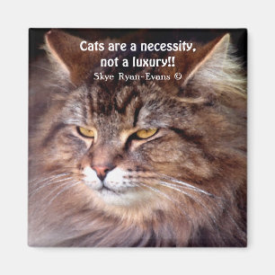 Tabby Maine Coon Cat Lover & Poem Magnet