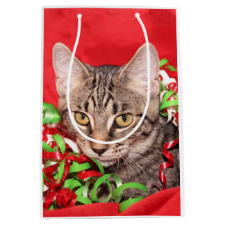 Tabby-Miezekatze-Weihnachten Mittlere Geschenktüte