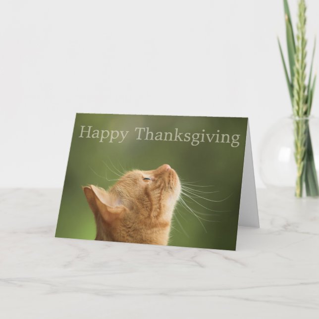 Tabby orange Chat :: Carte Bon thanksgiving (Devant)