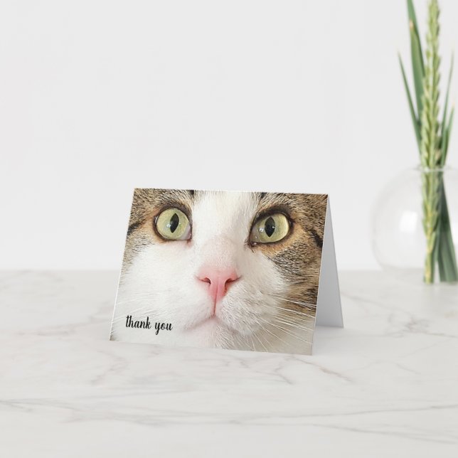 Tabby Pet Care Vielen Dank Dankeskarte (Vorderseite)