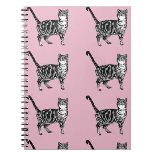 Tabby rose Chat Chats Chats Carnet Tabbis rayé mig