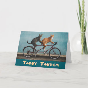 Tabby Tandem Karte