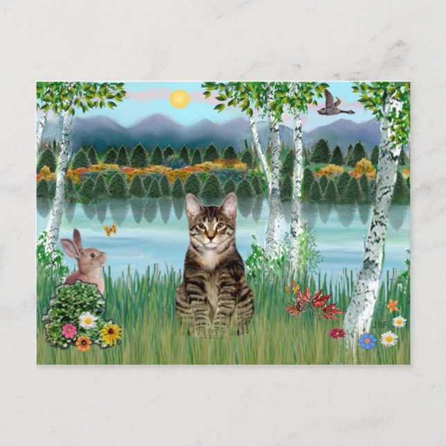 Tabby Tiger Cat - Birches Postkarte (Vorderseite)