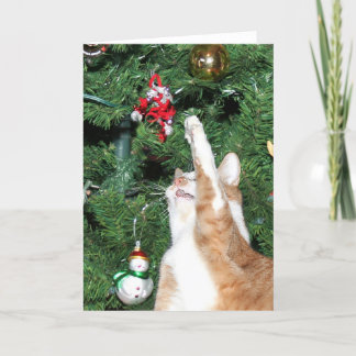 Tabby und Weihnachtsbaum Feiertagskarte
