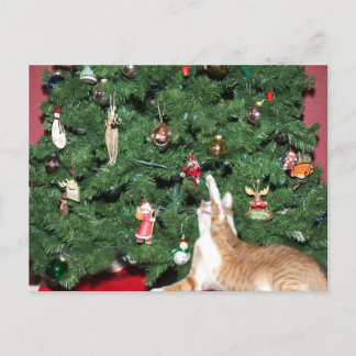 Tabby und Weihnachtsbaum Feiertagspostkarte