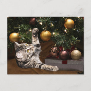 Tabby und Weihnachtsbaum Feiertagspostkarte