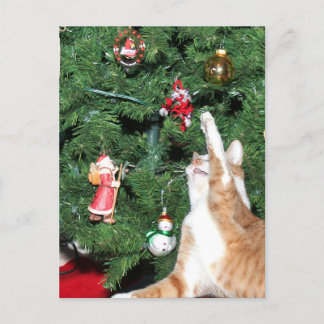 Tabby und Weihnachtsbaum Feiertagspostkarte