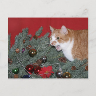 Tabby Weihnachtsbaum Feiertagspostkarte