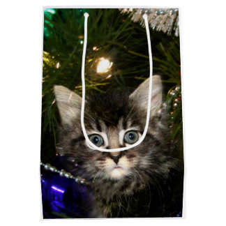 Tabbykätzchen im Weihnachtsbaum Mittlere Geschenktüte