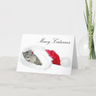 Tabbykätzchen Weihnachten