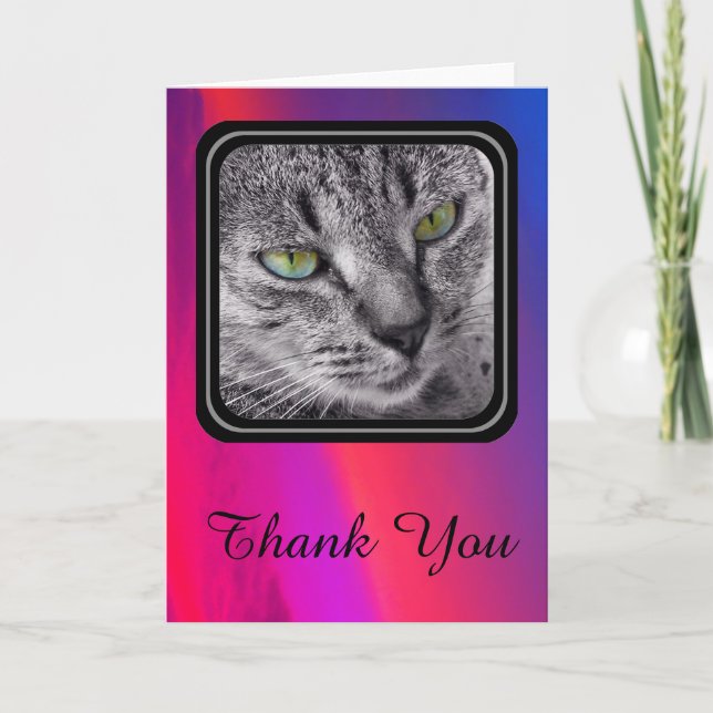Tabbykatze danken Ihnen, - Blendungsrosa zu Dankeskarte (Vorderseite)
