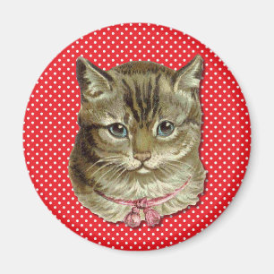 Tabbykatze Magnet
