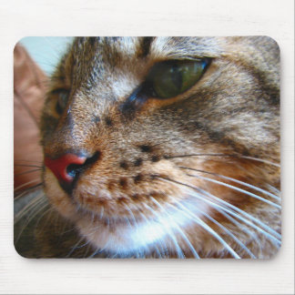 Tabbykatze mousepad