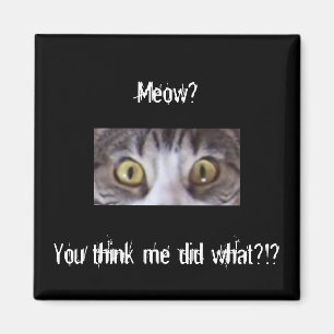 Tabbykatzen-große Augen Magnet