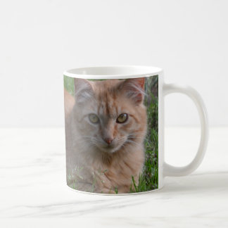 Tabbykatzenorange Kaffeetasse