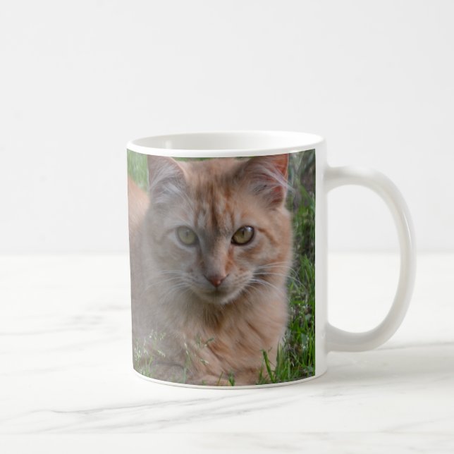 Tabbykatzenorange Kaffeetasse (Rechts)