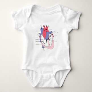 Tabelle 2. Normal-Herz Function.jpg Baby Strampler