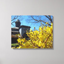 Tabernacle und Forsythia - Martha's Vineyard Leinwanddruck