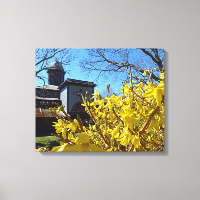 Tabernacle und Forsythia - Martha's Vineyard Leinwanddruck (Vorderseite)