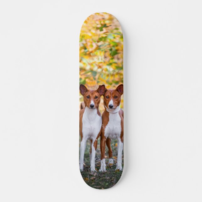 Tabla de skate Hermanos caninos vigilando Skateboard (Vorne)
