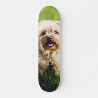 Tabla de Skate Perrito Terrier Adorable Skateboard