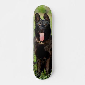 Tabla de Skate Perro Pastor Alemán Negro Sentado Skateboard