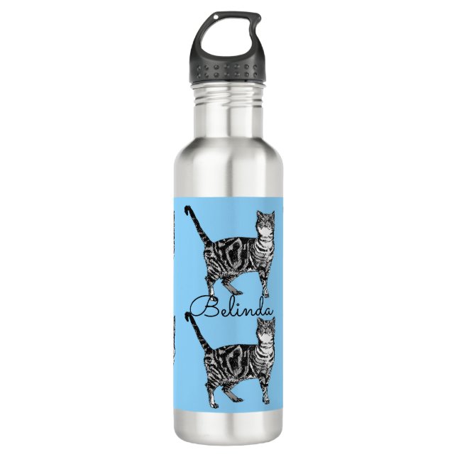 Tablby Cat Whimsical Light Blue Cats Edelstahlflasche (Vorderseite)
