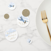 Table de Baby shower vintage d'avion Confetti