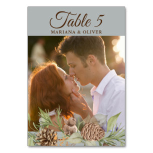 Table Mariage gris pin d'hiver Numéro de tableau