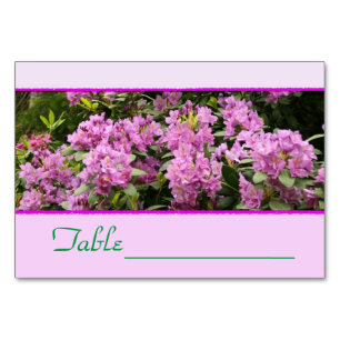 Table Rhododendron pourpre Numéro de tableau