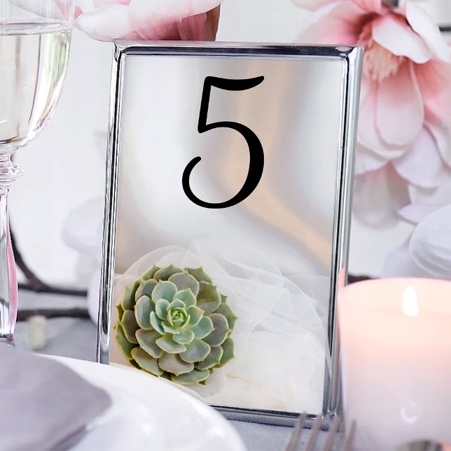 Table Succulent vert sur le Mariage blanc Numéro de tabl (Créateur téléchargé)