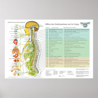 Tableau Français des Nerfs Spinaux de Subluxation