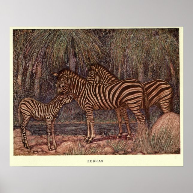 Tableau Zèbre vintage (1909) (Devant)
